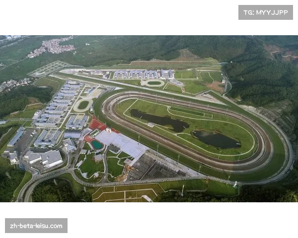 全运会赛事带动大湾区基础设施升级 三地交通通关便利化显著